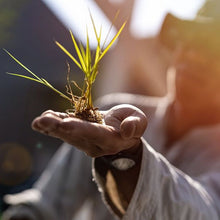 画像をギャラリービューアに読み込む, 公式 醸し人九平次 別誂 2024 1.8L オリジナル化粧箱入り