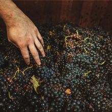 画像をギャラリービューアに読み込む, KUHEIJI ジュヴレ・シャンベルタン 2020