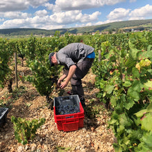 画像をギャラリービューアに読み込む, KUHEIJI ムルソー 2018