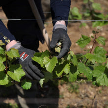 画像をギャラリービューアに読み込む, KUHEIJI アロース・コルトン 2020