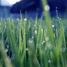 画像をギャラリービューアに読み込む, 公式 醸し人九平次 別誂 2024 1.8L オリジナル化粧箱入り